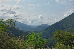 DSC05396-01