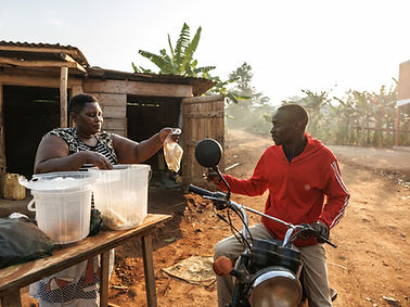 093._JJU24412._NARO Cassava .JPG