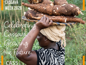 🎉 Happy World Cassava Day 28. June 2026!