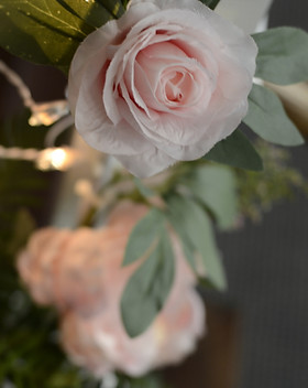 _DSC0003.JPG