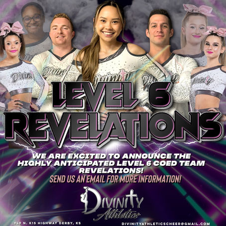 Level 6-Team Rev