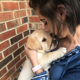 Finley x Ellie Pup