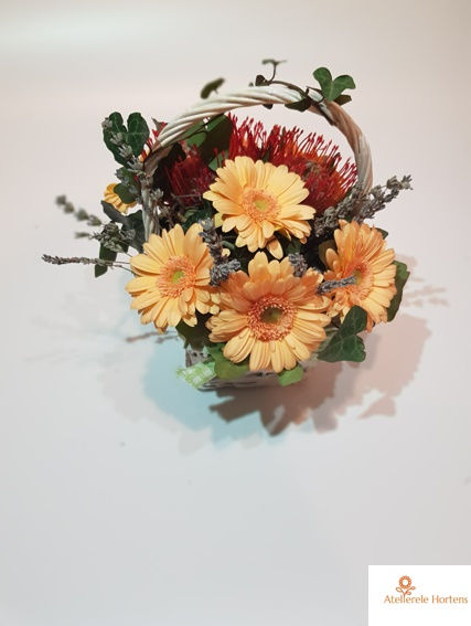 Miniatură: Coșuleț Gerbera