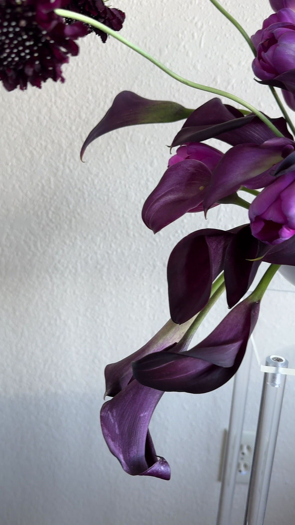 Thumbnail: Sweet Escape