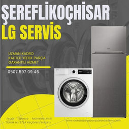 ANKARA ŞEREFLİKOÇHİSAR LG BEYAZ EŞYA TEKNİK SERVİS