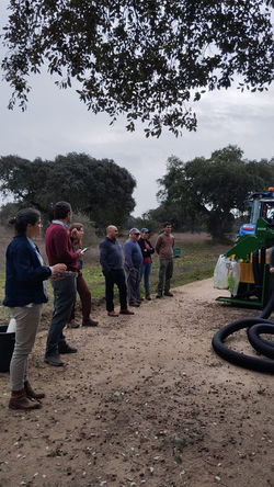 Inovação na colheita da bolota - foto 11