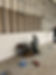 IMG_2227.jpeg