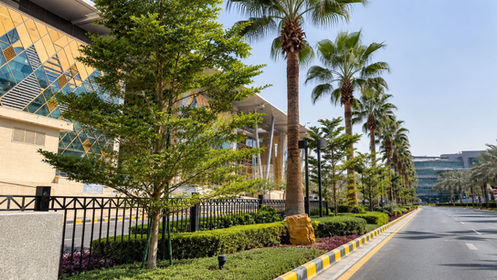 Daytime view of Digital City in Riyadh with palm trees, clipped hedges, purple groundcover, roadside planting, black metal fencing, and landscape lighting beside modern buildings.