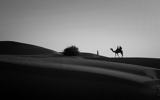 pexels-shardar-tarikul-islam-8973082.jpg