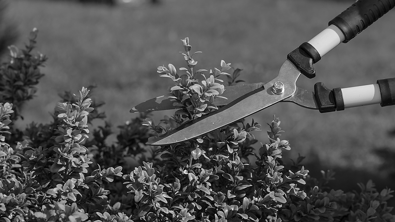 Landscaping-Maintenance.png