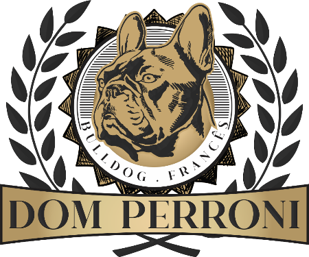 Foto do escritor: Dom Perroni Bulldog Francês