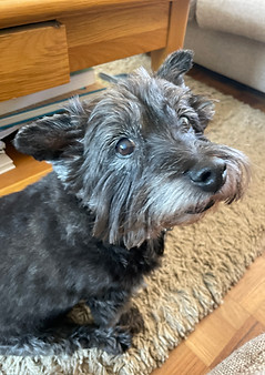 Elderly Buster posing for a photo