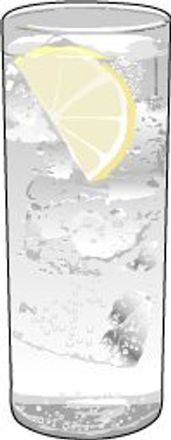 ginandtonic.jpg