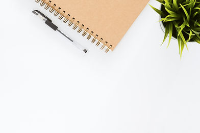stock photo of a soft spiral notebook, pen, and small artificial plant decor