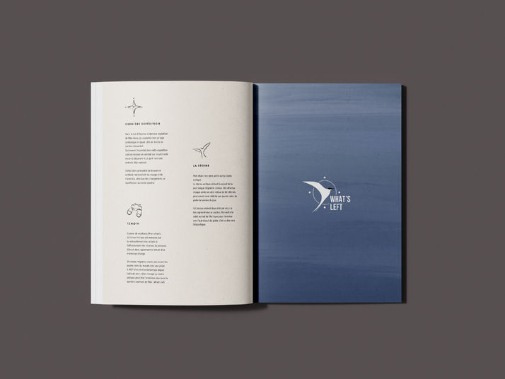 What's Left logo presentation, Arctic tern illustration, Mike Horn