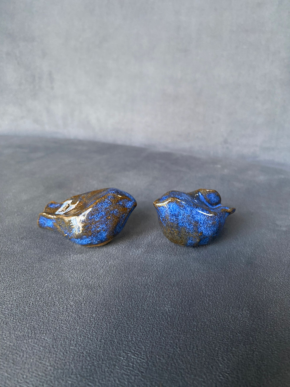 Miniature : Oiseaux