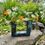 Miniature : Vase en U