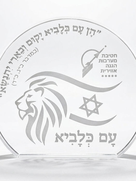 מגן הוקרה פרספקס