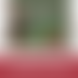 Happy Paw-lidays - A Guide to Keeping your Pup Merry & Safe