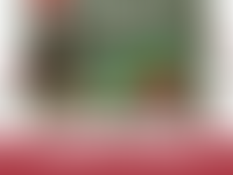 Happy Paw-lidays - A Guide to Keeping your Pup Merry & Safe