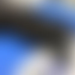 Creepy Crawlies: Understanding Hookworms and Other Parasites in Rescue Dogs