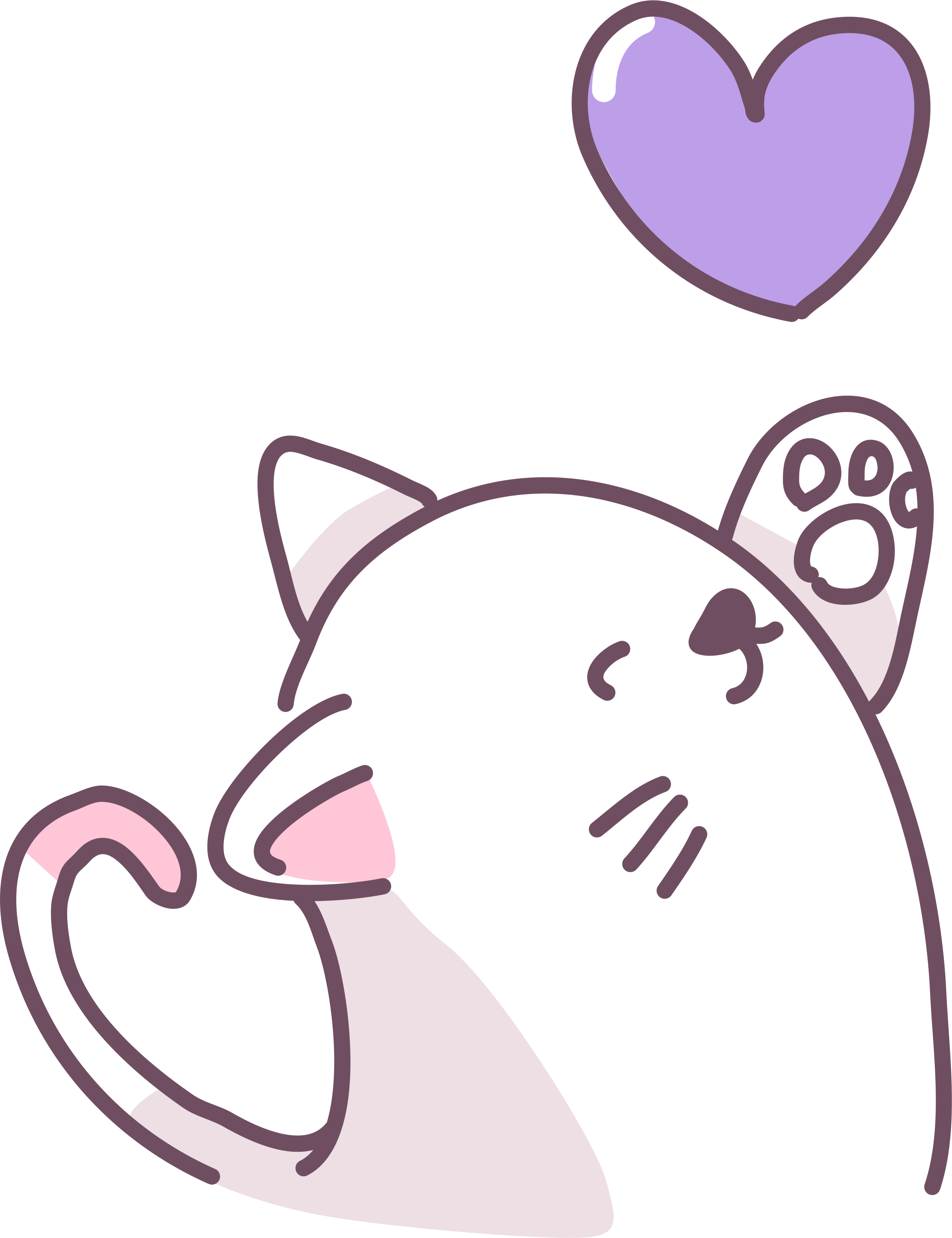 Purple Cat Greetings