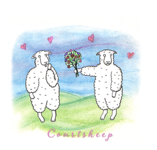 Courtsheep