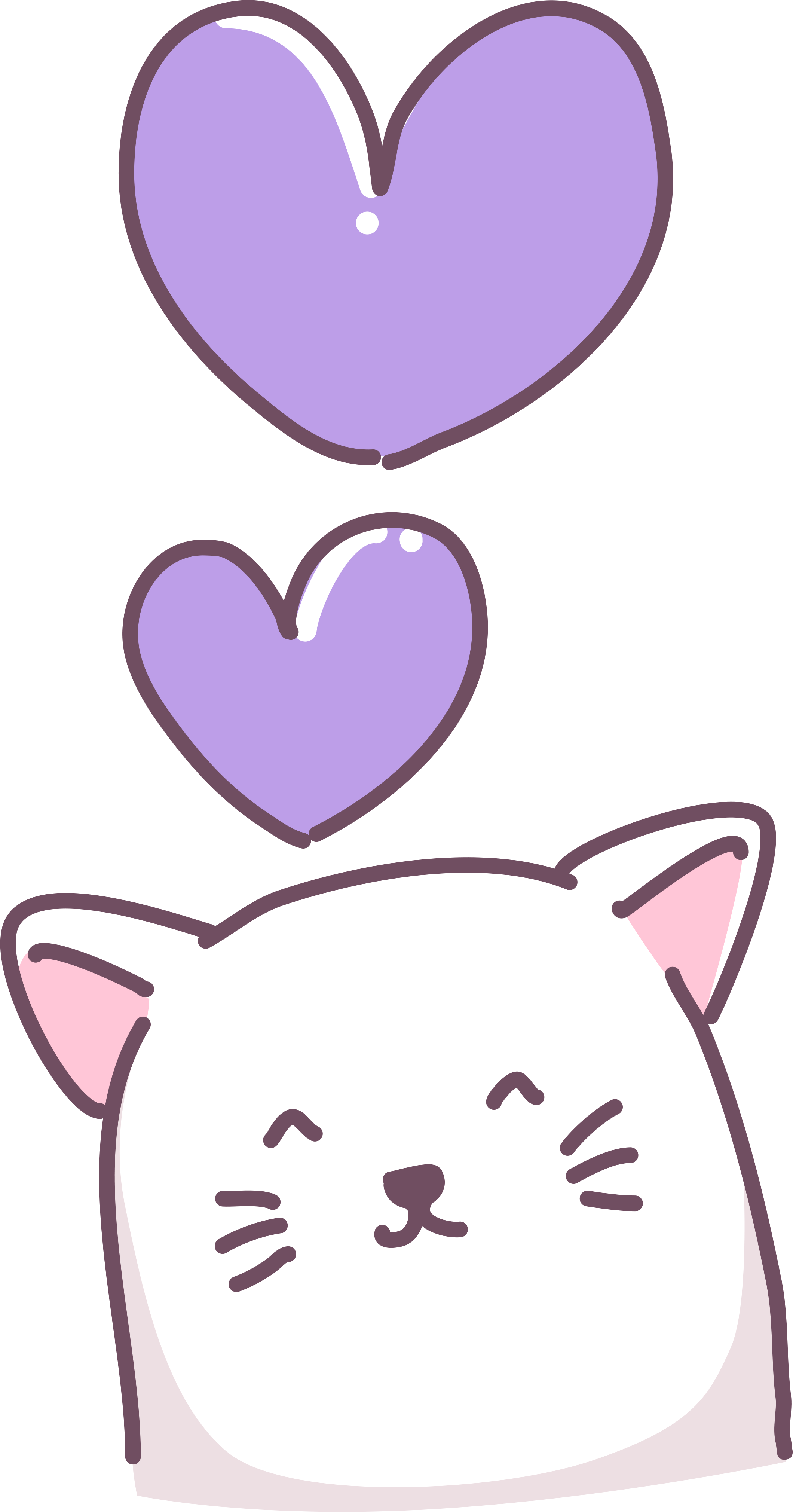 Purple Cat Greetings