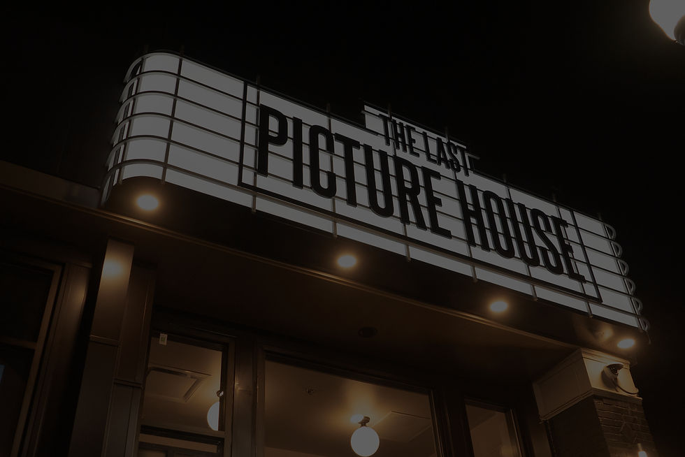 The Last Picture House