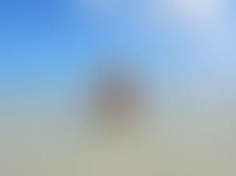 Paradis bleu du Pacifique [partie 2]: Huahine