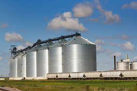 iStock-172301855.jpg