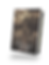 Thumbnail: Under the Churchyard in the Chamber of Bone