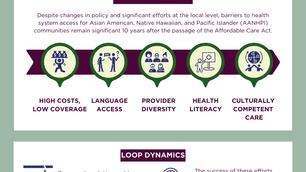 20 x 20 Systems Mapping Project- Infographic and Executive Summary