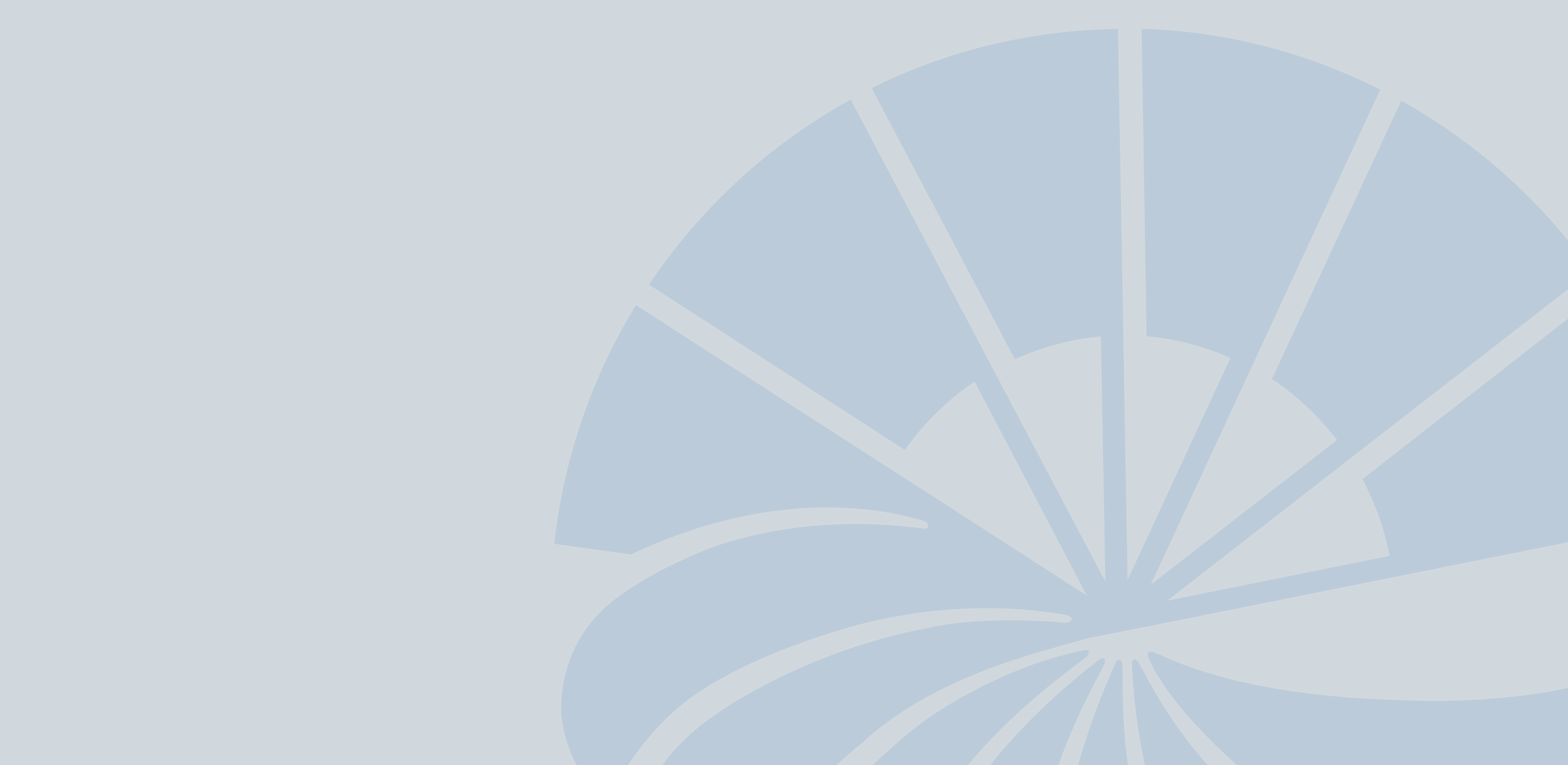 bg_logo.gif