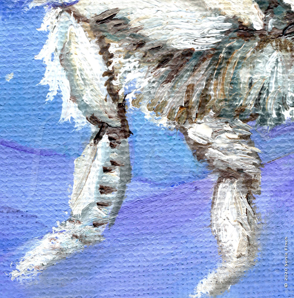 Thumbnail: Elf Moth Rider | Limited Edition Giclée Prints