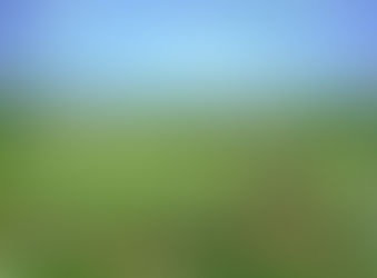 Intoxicating summer days..