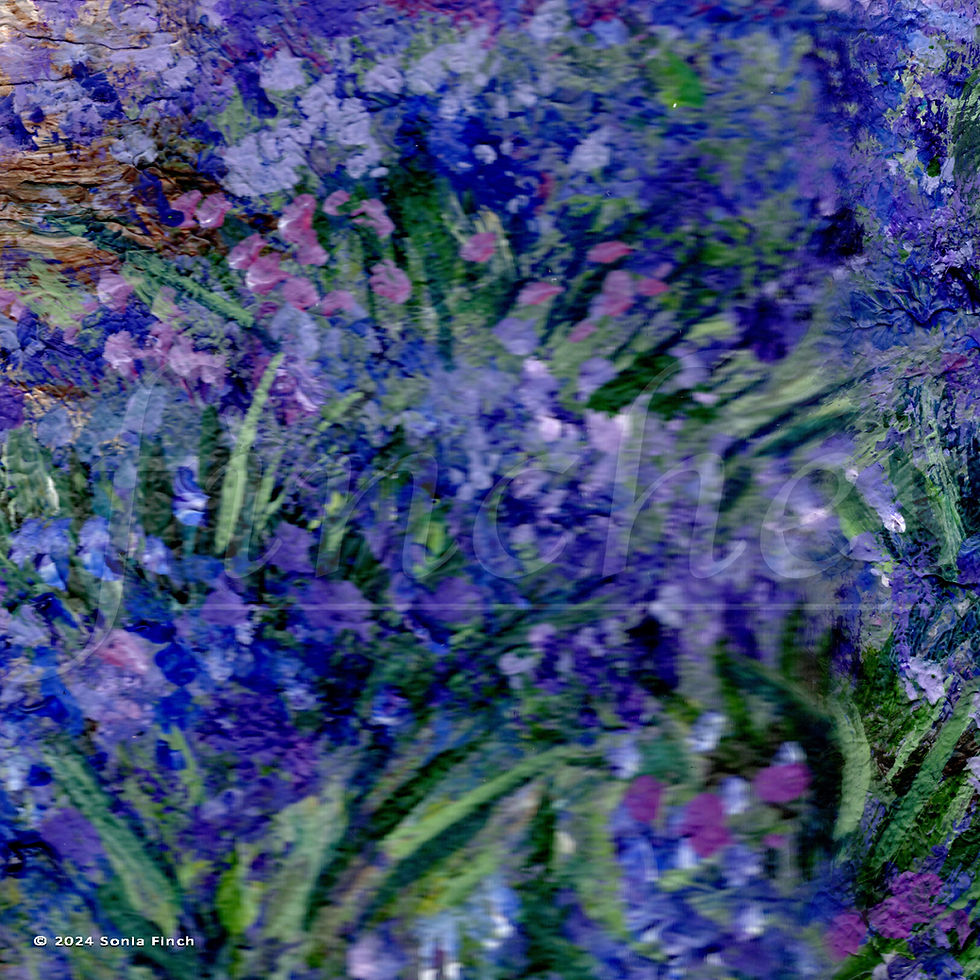 Thumbnail: Lavender Fields at Sunset | Limited Edition Giclée Prints