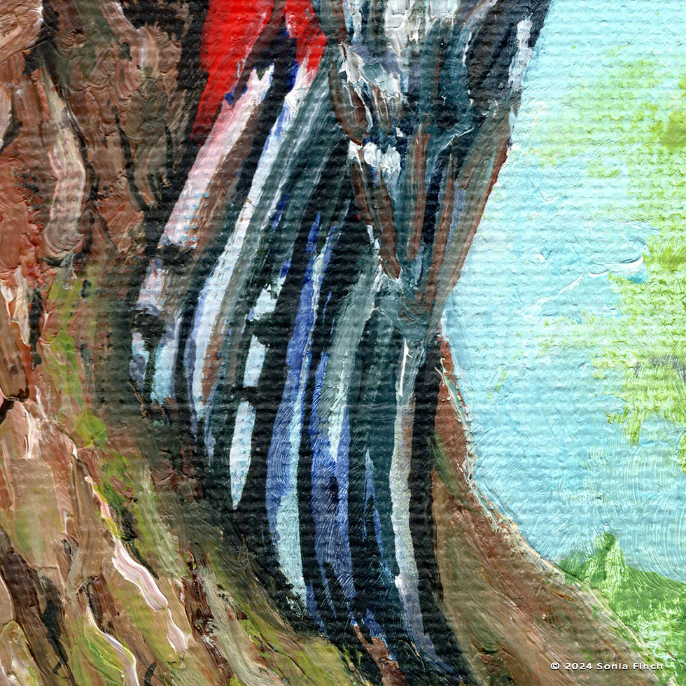 Thumbnail: Spirit of Woodpecker | Original