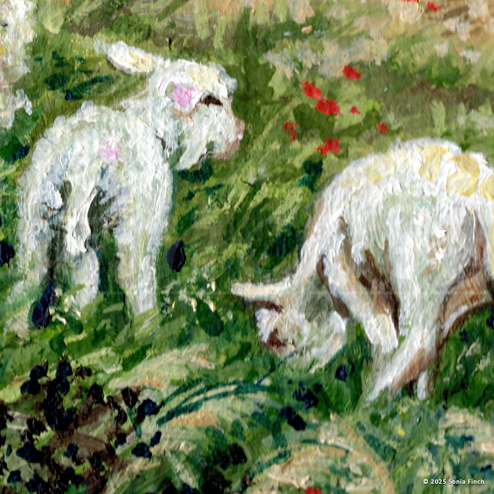 Thumbnail: Two small lambs graze beside their mother in a grassy meadow with red poppies in the background.