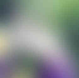 elf hand reaching out to touch the flower fairies