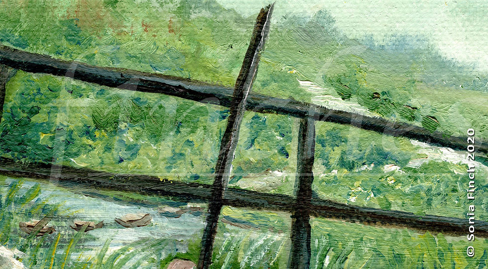 Thumbnail: A Cornish Cat | Greeting Card