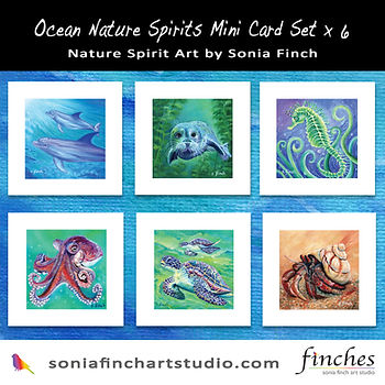 6 cards including dolphin, seal, seahorse, octopus, turtle, hermit crab