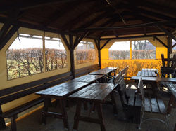 12795252_1583847185268450_82802464471071