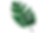 IMG_9446.PNG