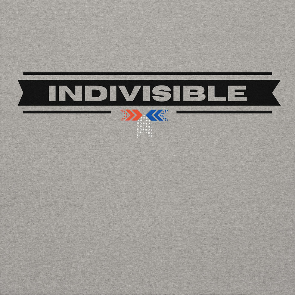 Thumbnail: Indivisible Hoodie
