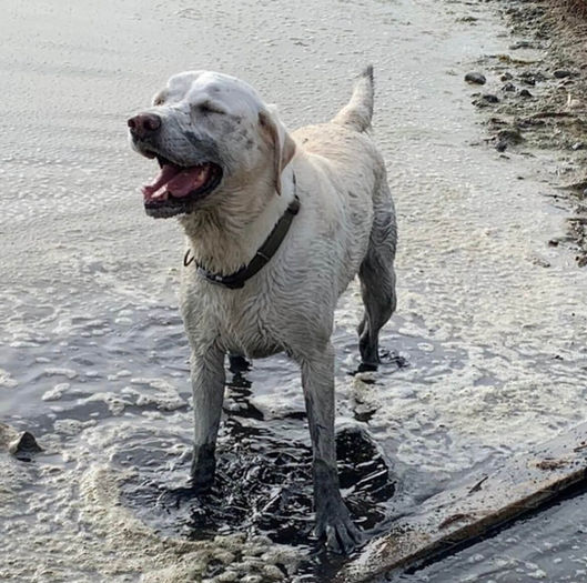 ERICKA_WALLER_BUDDY_MUD.jpeg
