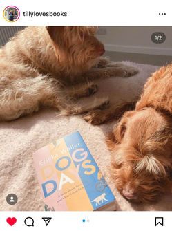 ERICKA_WALLER_DOGFAN_24.jpeg