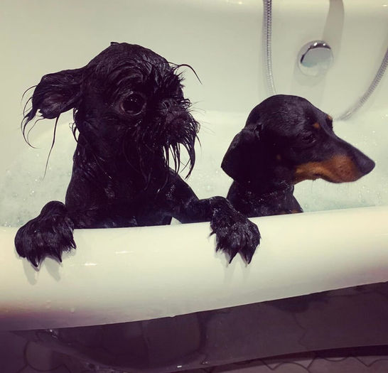ERICKA_WALLER_BATHTIME.jpeg