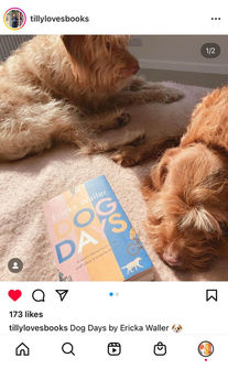 ERICKA_WALLER_DOGFAN_1.jpeg