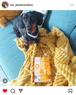 ERICKA_WALLER_DOGFAN_26.jpeg
